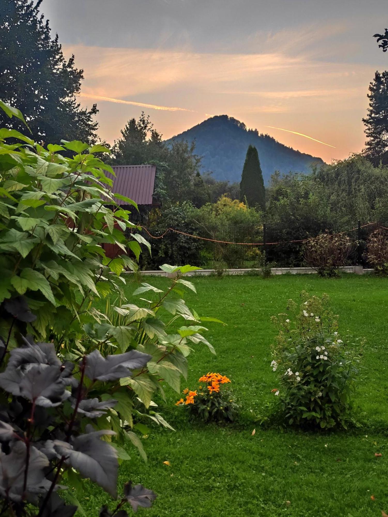 Pokoje I Apartamenty U Sabiny - Dostep Do Jacuzzi Tylko W Wybranych Opcjach Sprawdz Ponizej Szczegoly Rezerwacji Szczawnica Exterior photo
